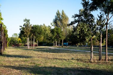 Parc des Berges de Bordeaux - Ali Koç Photographe.